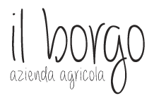 ilborgo_logo1-min6oi0bwupqnoyoufq6kjnrd2gm8vl8x0wi85jq5w